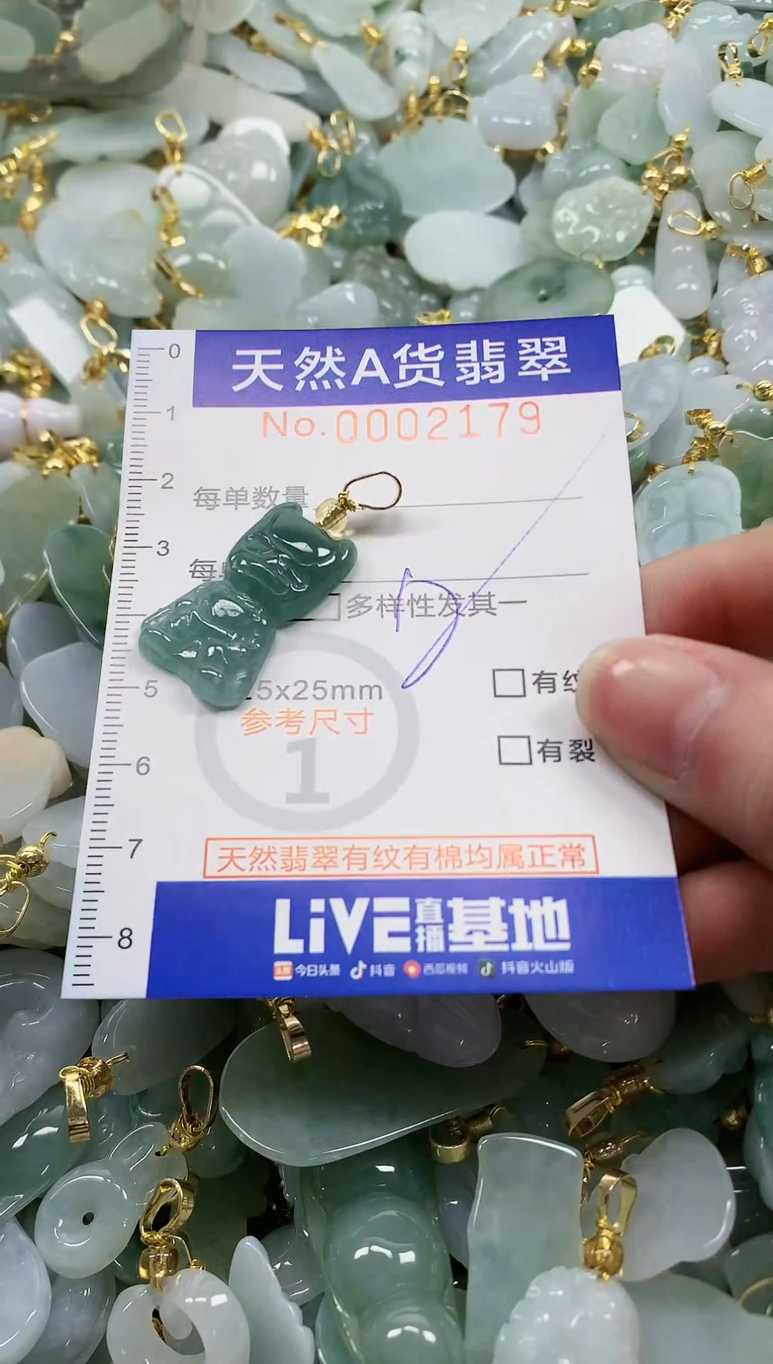 颈饰未镶嵌翡翠纯天然a货翡翠