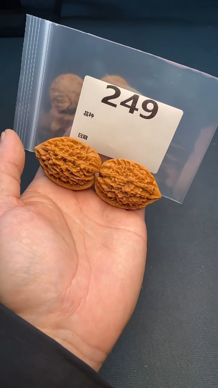 【闪购商品】文玩核桃吊坠249号边34高48招财鼠