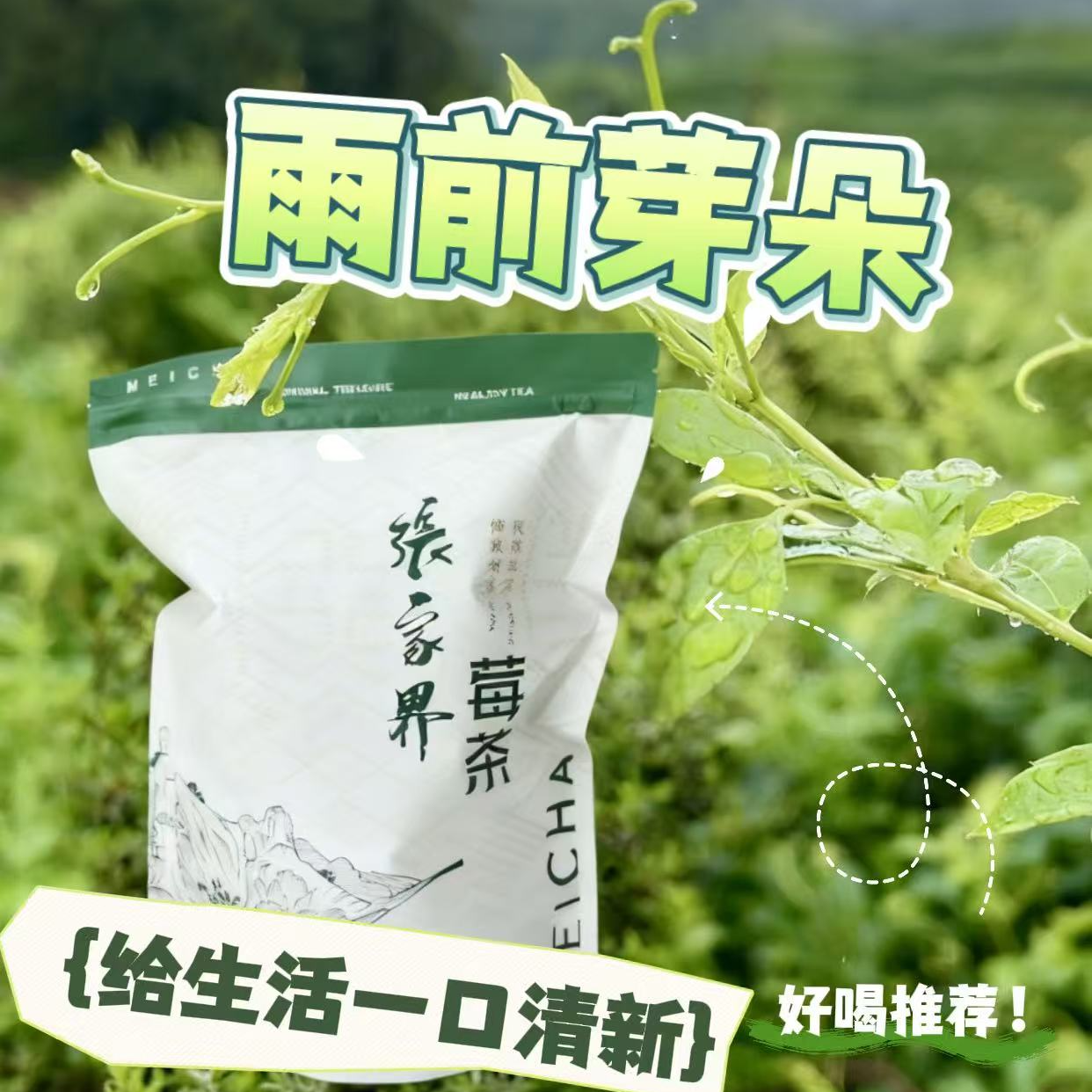 张家界春茶芽朵雨前芽朵高品质莓茶藤茶高山绿色食品香醇莓茶