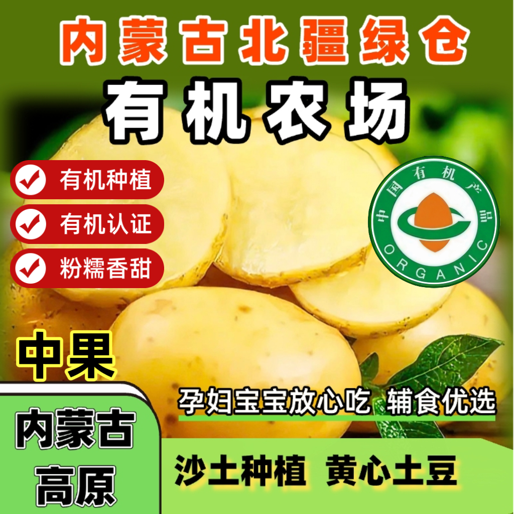 【内蒙古高原沙土地种植】有机黄心土豆粉糯细腻【孕妇宝宝辅食】中果
