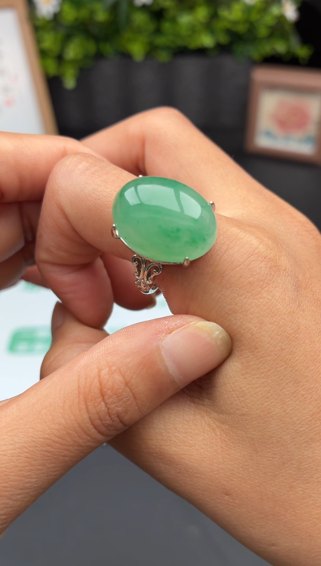 石英质玉未镶嵌戒指非洲翠戒指