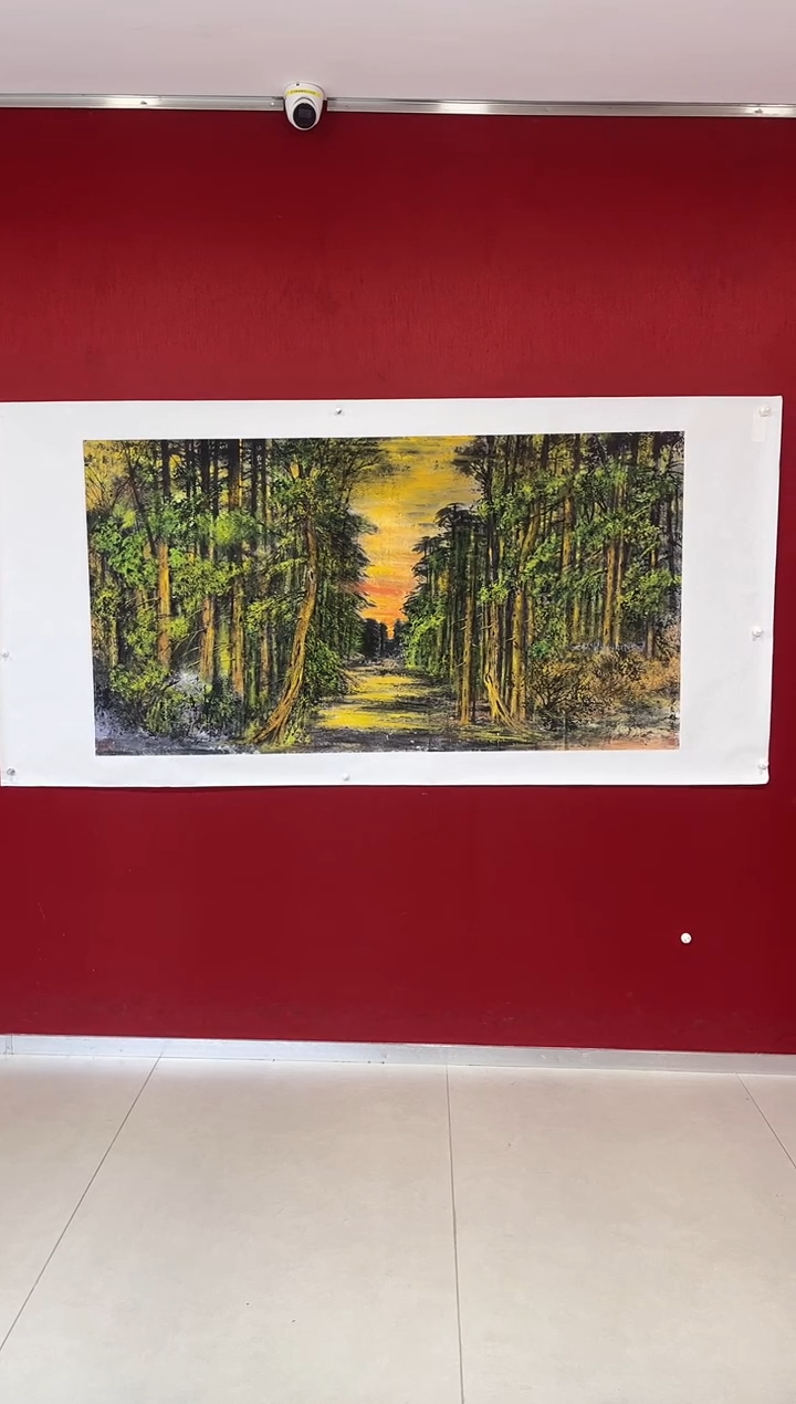 国画大**沱杨则袁老师画作