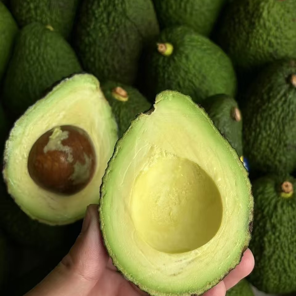 云南哈斯牛油果当季新鲜水果宝宝果辅食健身低脂轻食