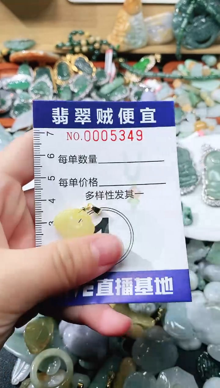 【闪购商品】翡翠颈饰未镶嵌闪购0005349