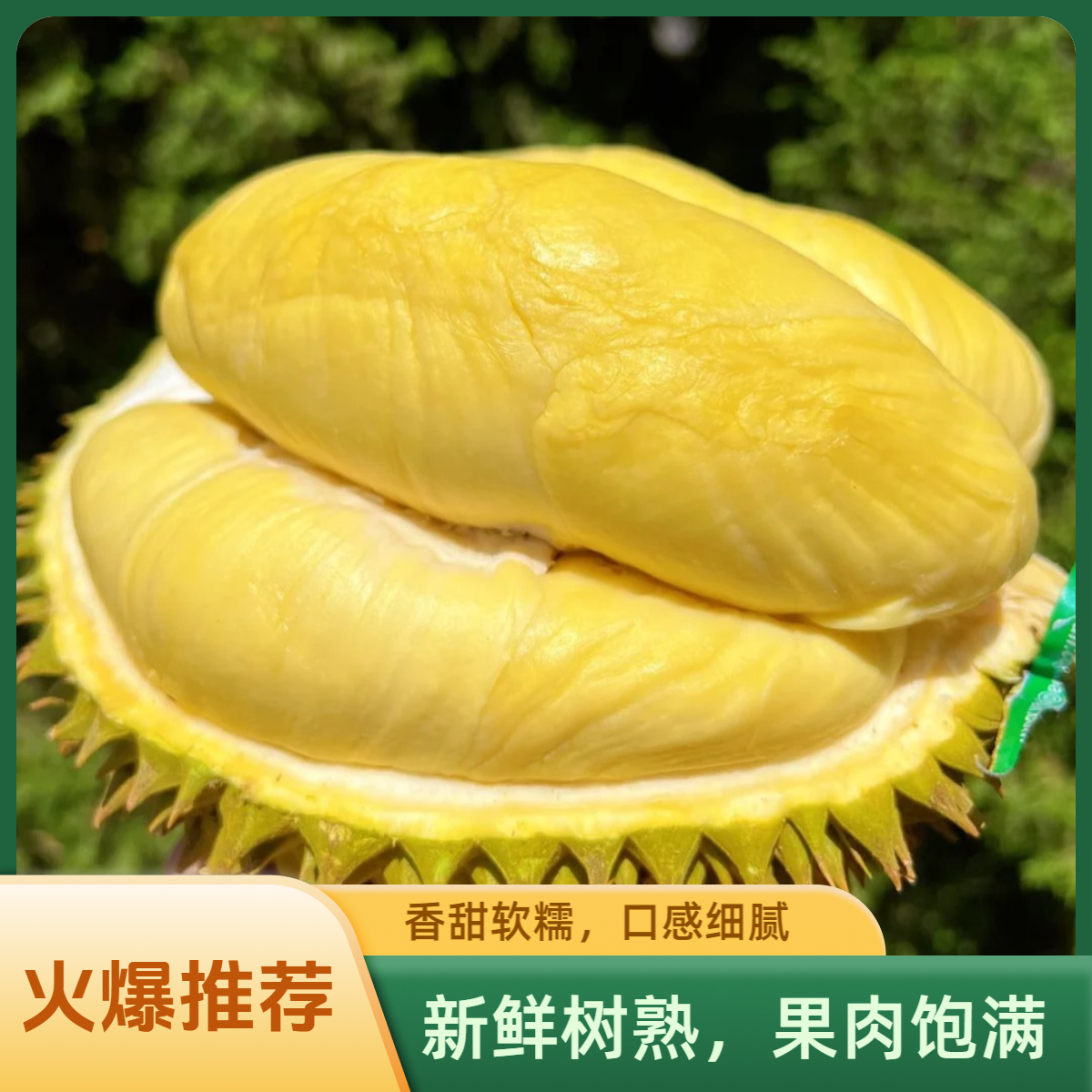 【同城闪送】泰国树熟金枕榴莲核小肉厚新鲜现开纯果肉1-3斤金枕泰国金枕泰国