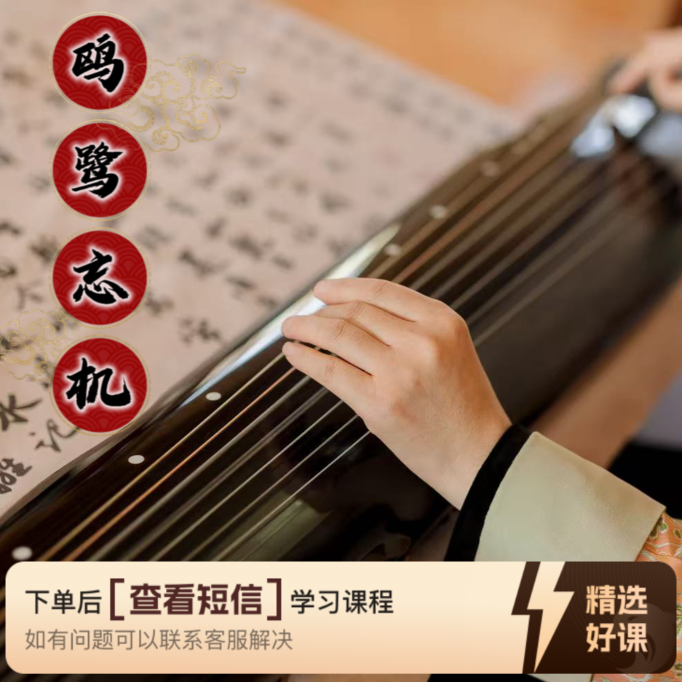 《鸥鹭忘机》古琴视频教程 逐句讲解（留意短信解锁课程）