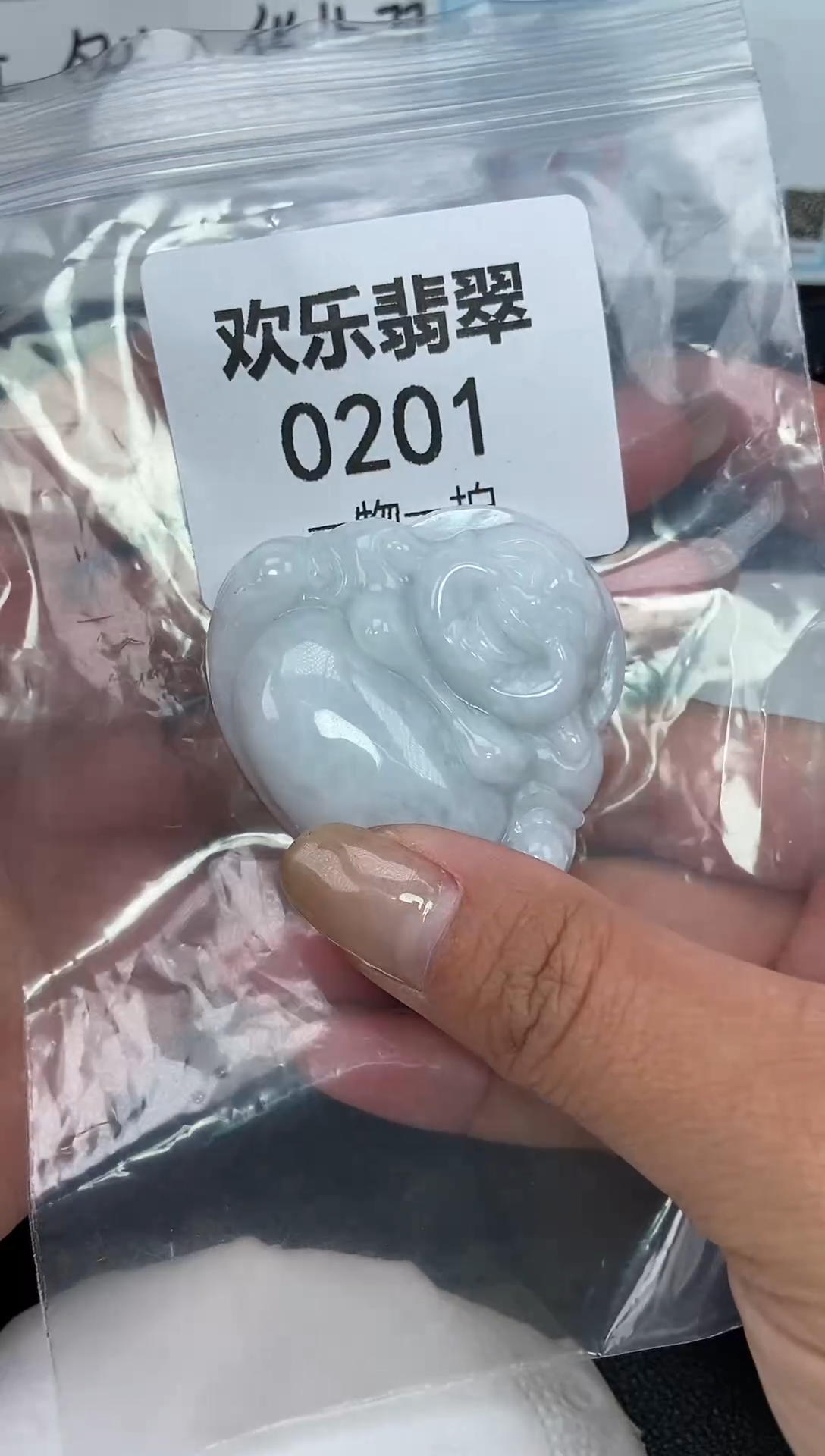 颈饰未镶嵌翡翠缅甸天然翡翠0201