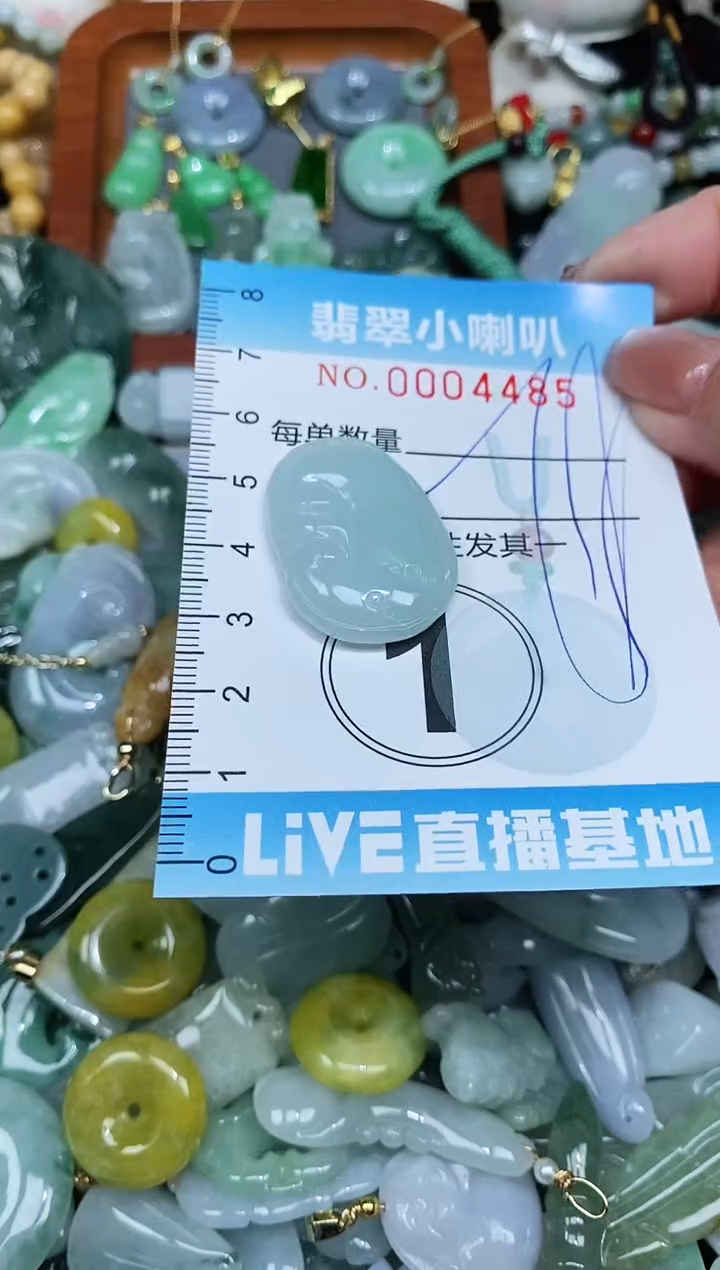 【闪购商品】翡翠颈饰未镶嵌闪购0004485