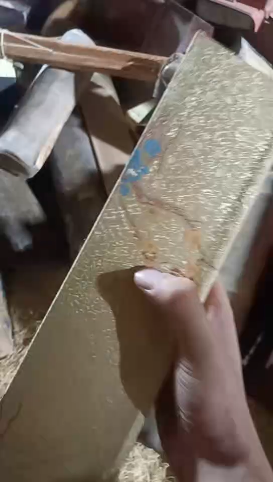 香榧木李金色盒子11111