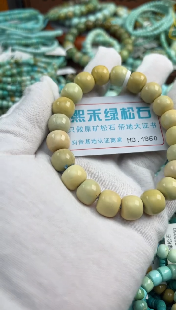 绿松石未镶嵌松石1860