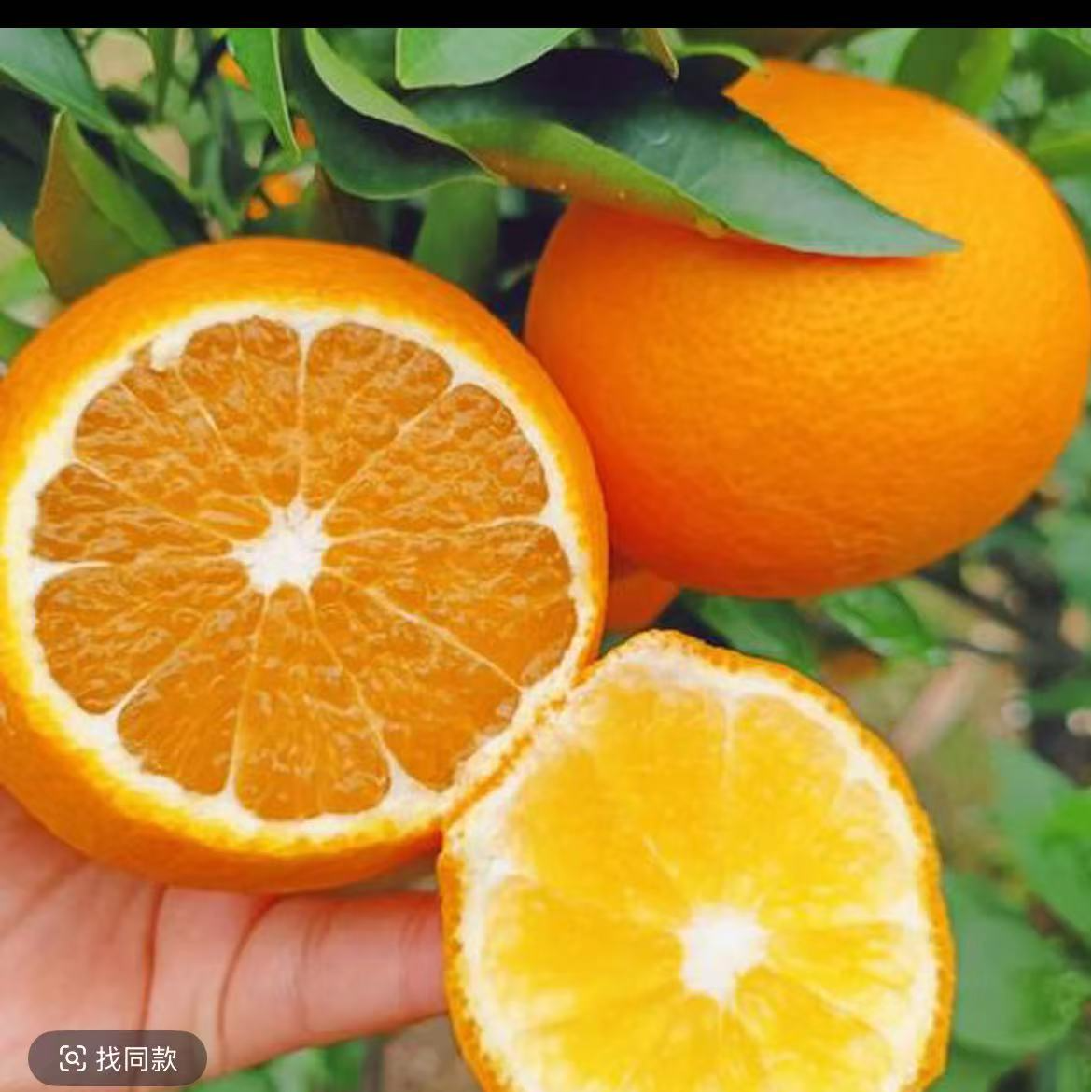 正宗赣南信丰脐橙爆汁