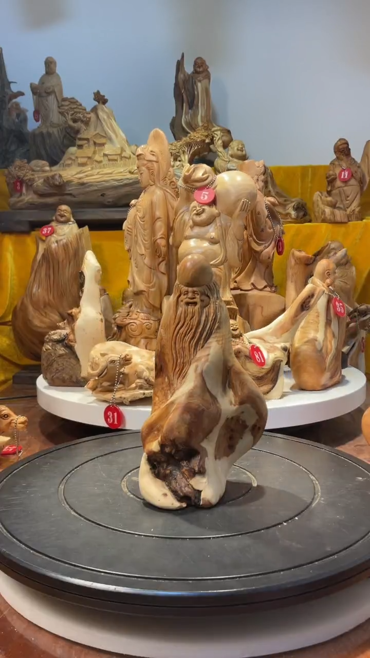 【闪购商品】柏木（崖柏）   寿星  