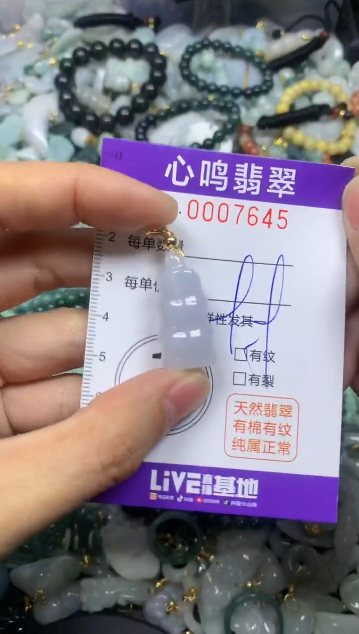 【闪购商品】翡翠颈饰未镶嵌闪购007645