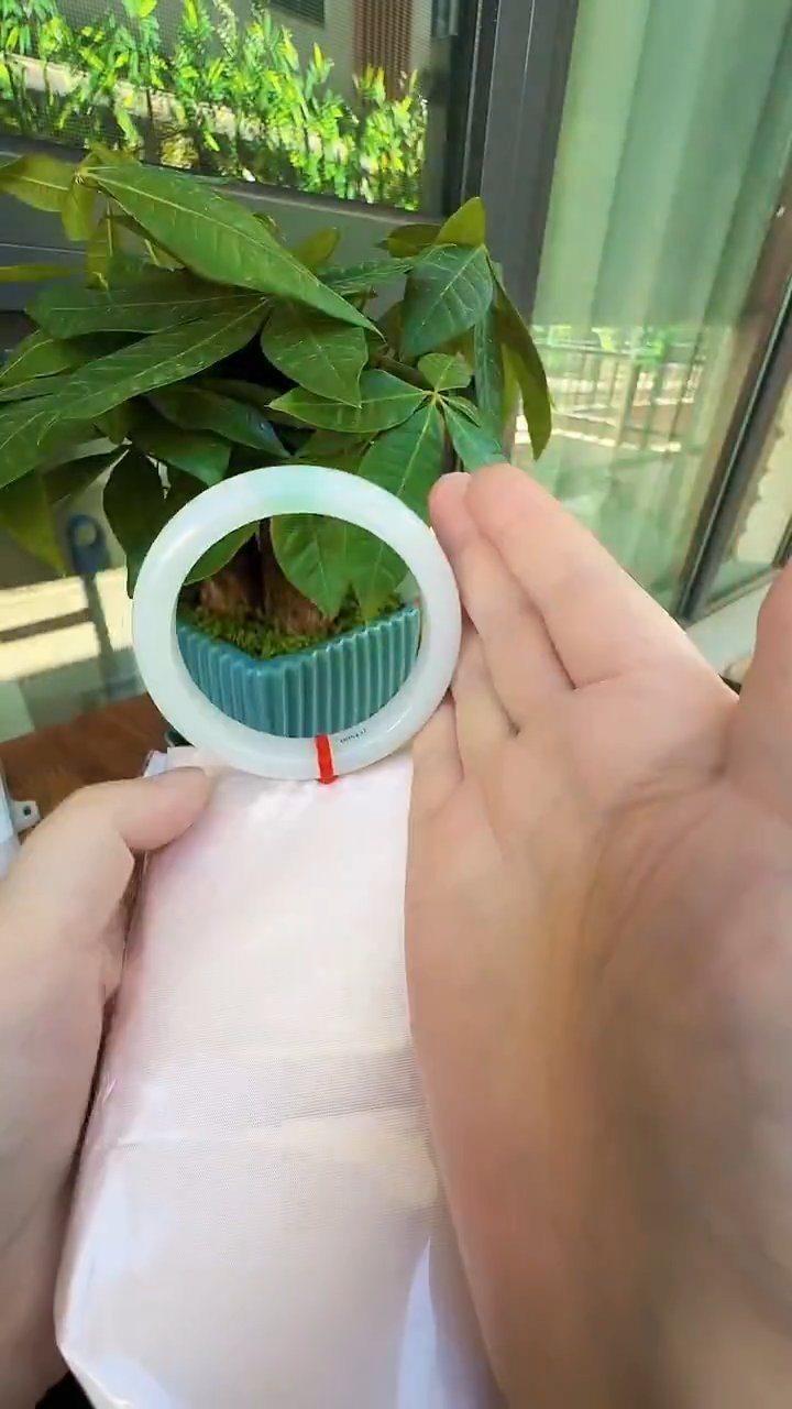 未镶嵌手镯翡翠缅甸天然A货翡翠手镯-34