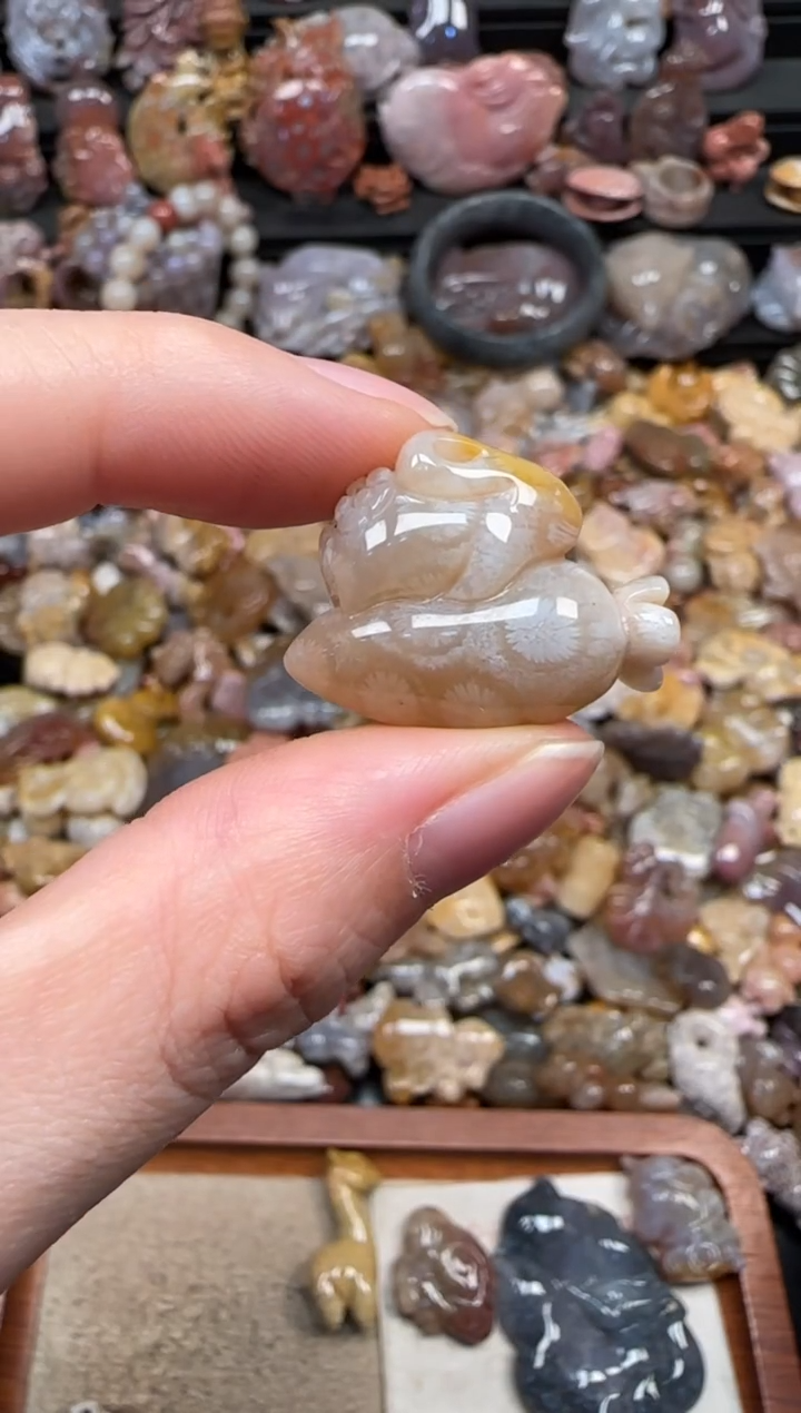 颈饰未镶嵌硅化珊瑚（珊瑚玉）220