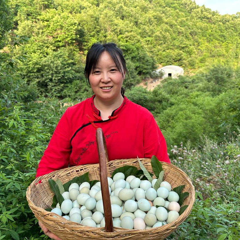 顺丰包邮伏牛山新鲜土鸡蛋 ，当日鲜蛋，净重4.5斤，现捡现打包