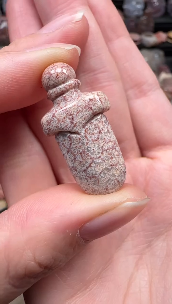 颈饰未镶嵌硅化珊瑚（珊瑚玉）232