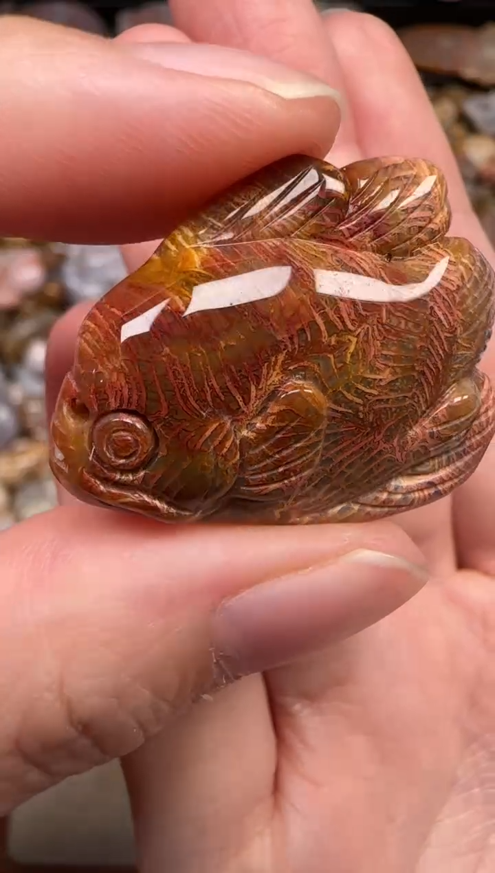 硅化珊瑚（珊瑚玉）未镶嵌颈饰857