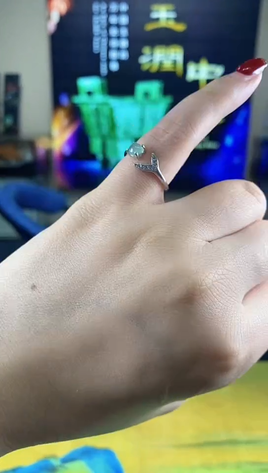 【闪购商品】翡翠颈饰银S925镶嵌00000046