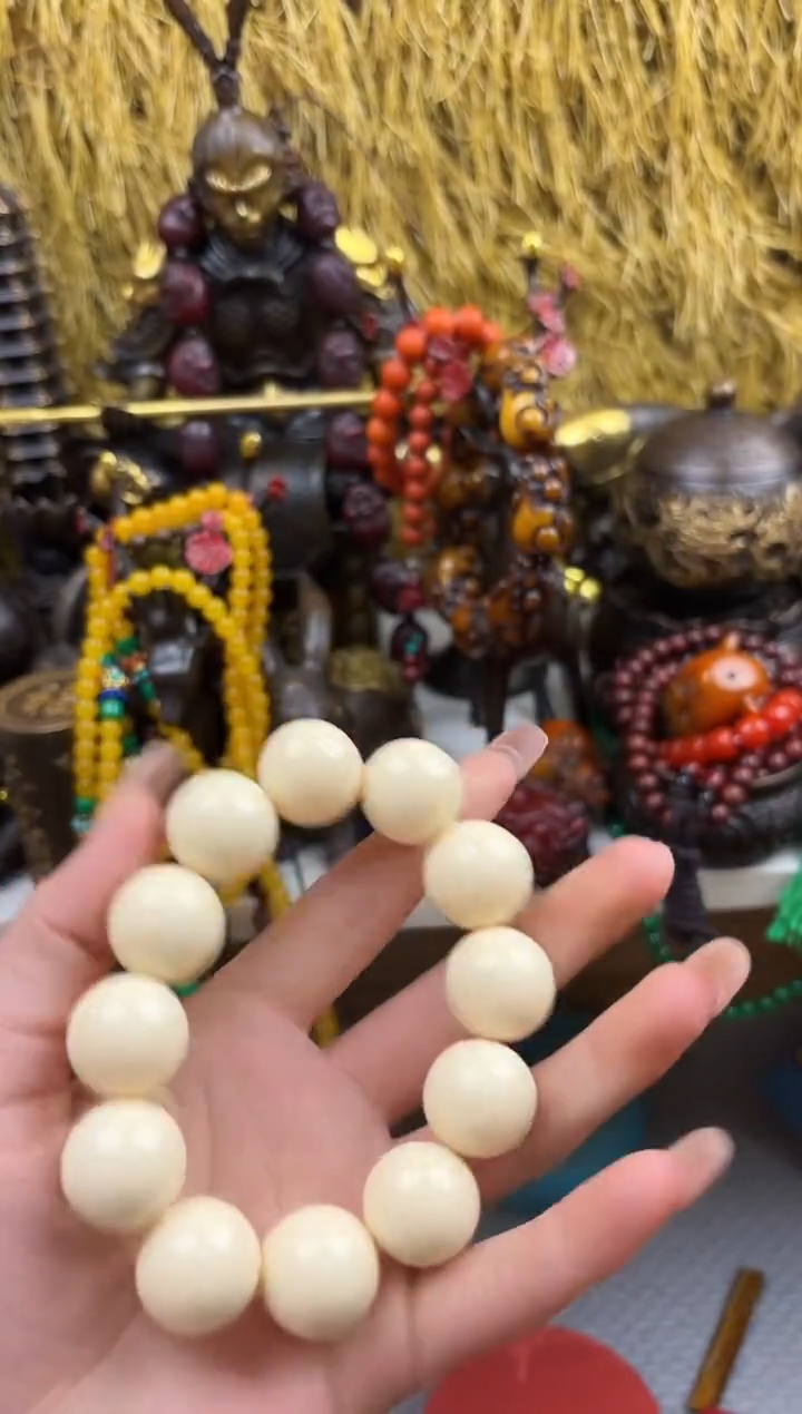 【闪购商品】晨晨专属链接晨晨专属链接442