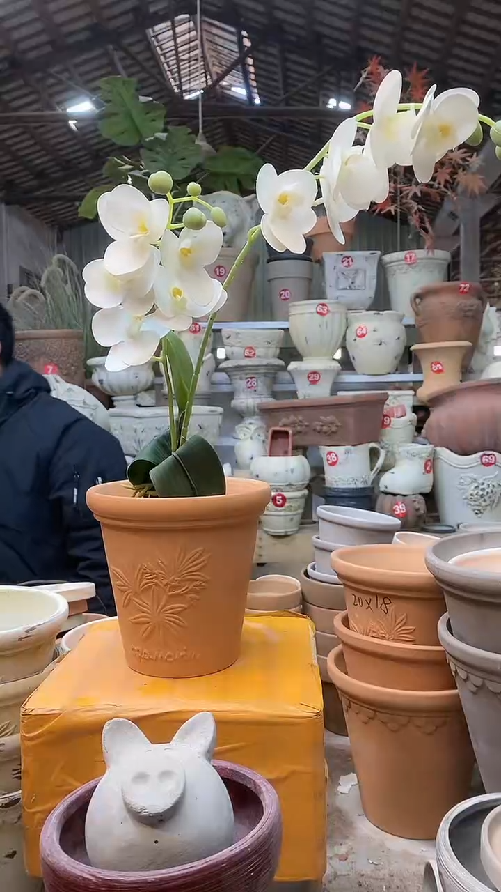 【闪购商品】缸1个16*15红陶香草陶无托无托
