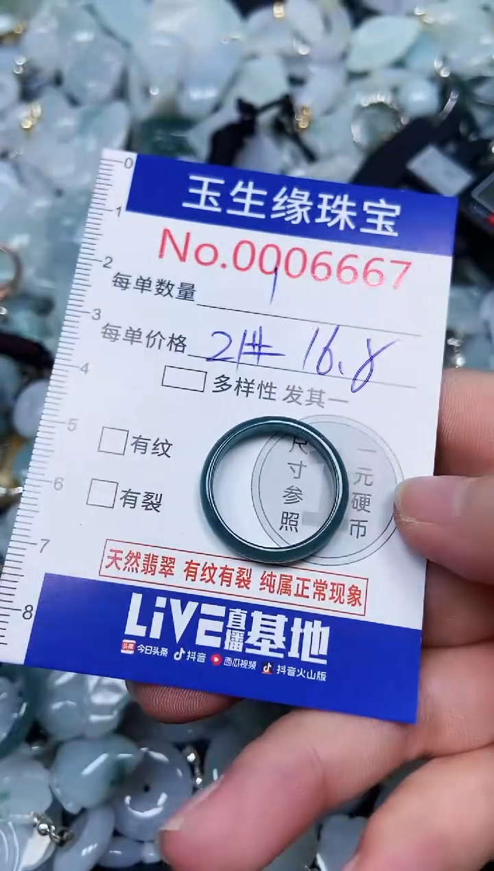 【闪购商品】翡翠颈饰未镶嵌闪购00006667