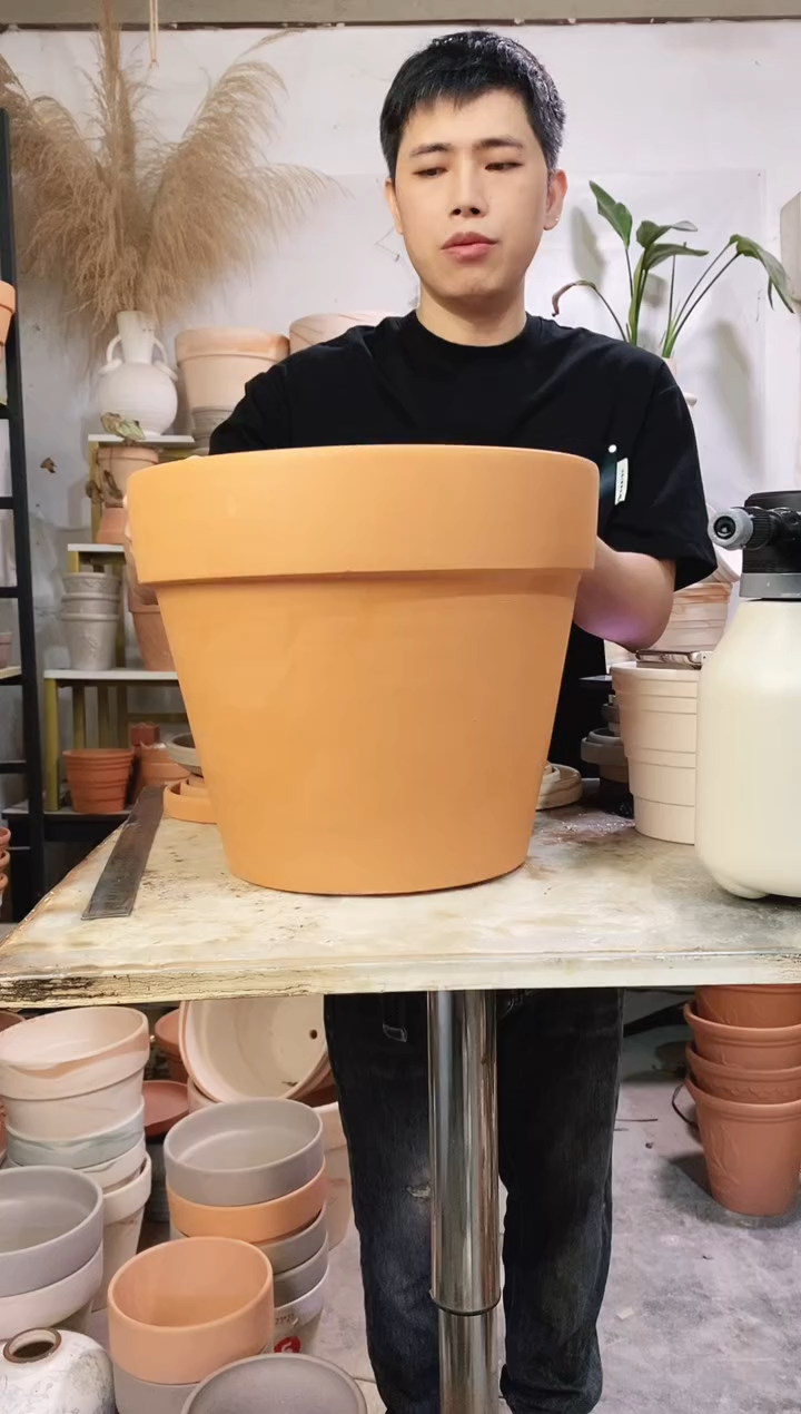 35*30红陶国际 1盆无托