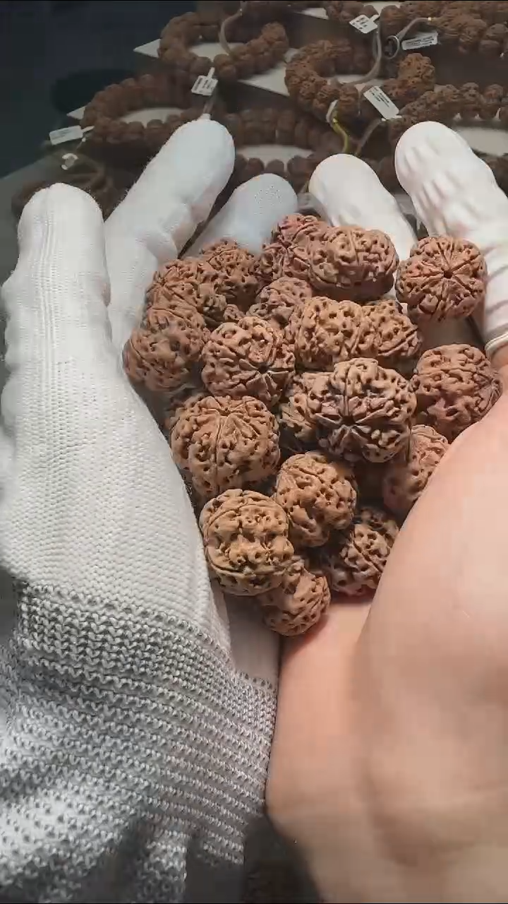 金刚菩提手串龙纹饕餮散籽20mm散籽30颗+