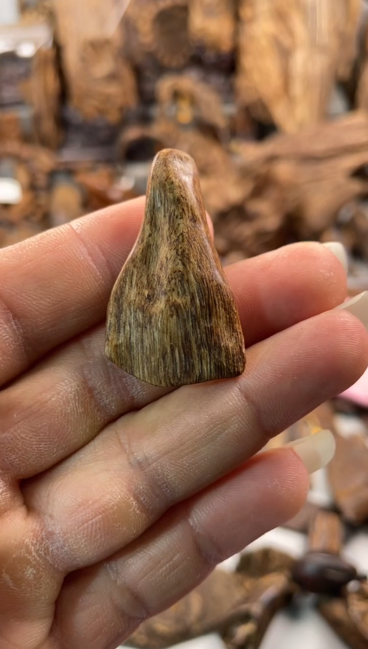 沉香沉香碎屑沉香  惠安 1.6