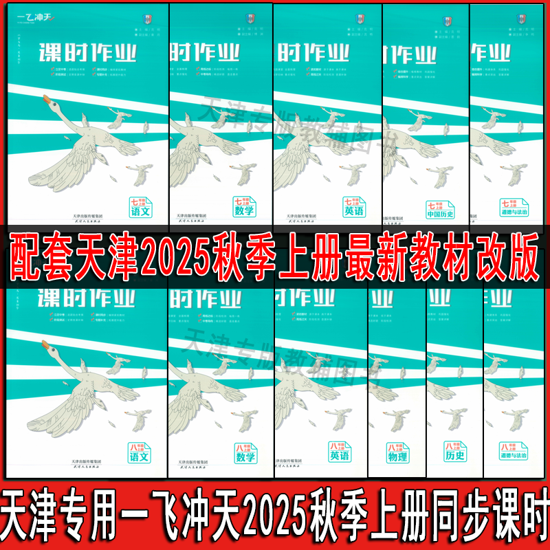 一飞冲天天津2025秋初中上册七年级八年级课时作业九年级同步训练