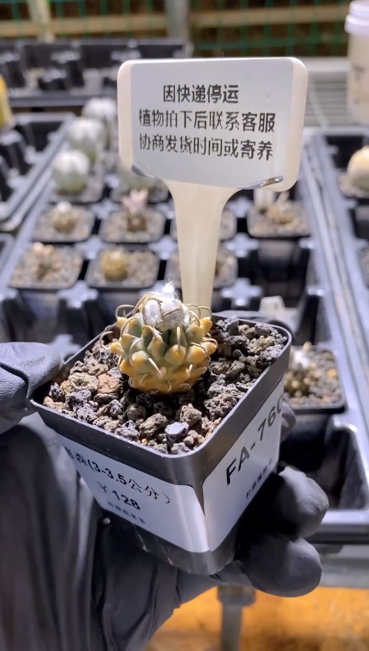 【闪购商品】安德森FA-760
