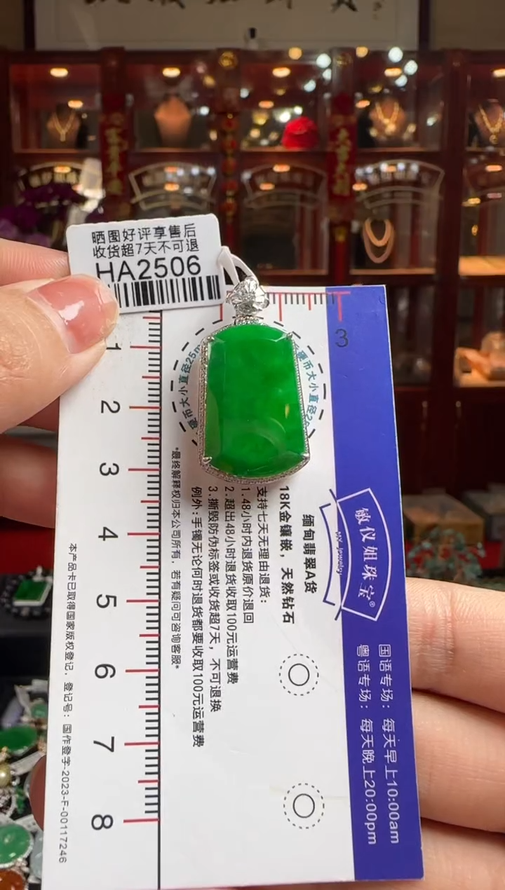 【闪购商品】翡翠颈饰18K金镶嵌HA2506冰辣绿无事牌