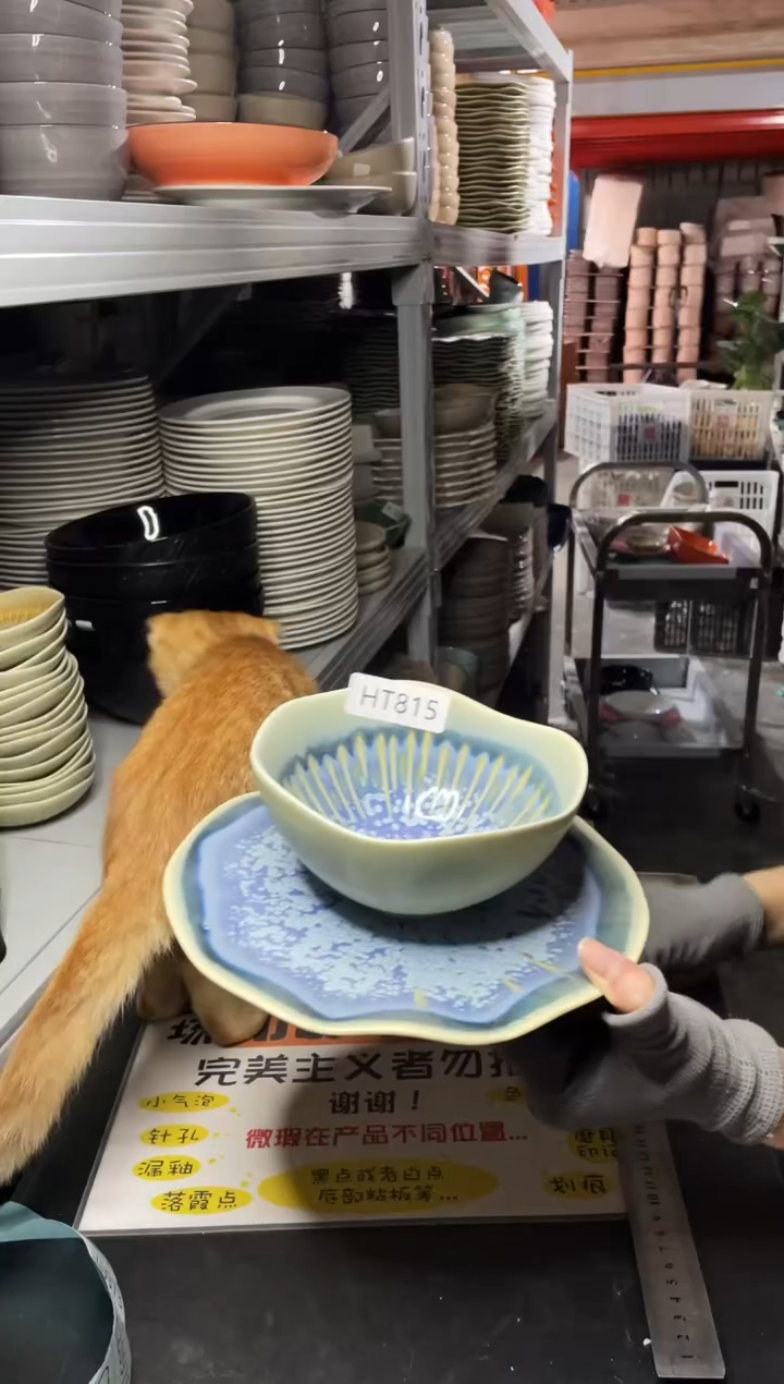 【闪购商品】碗815       两碗两盘