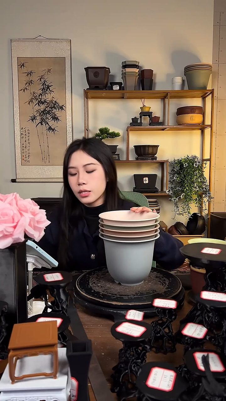 5只18口径金钟马卡龙色系