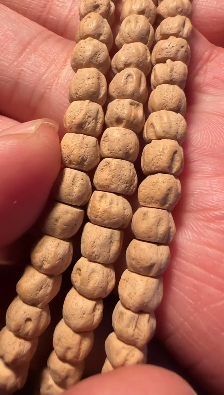 【闪购商品】柏香籽/百香籽吊坠TG0986