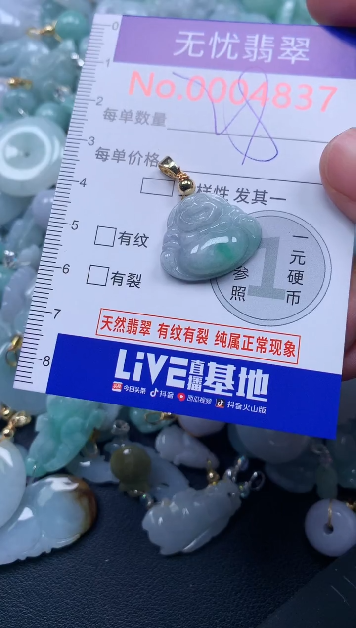 颈饰未镶嵌翡翠4837