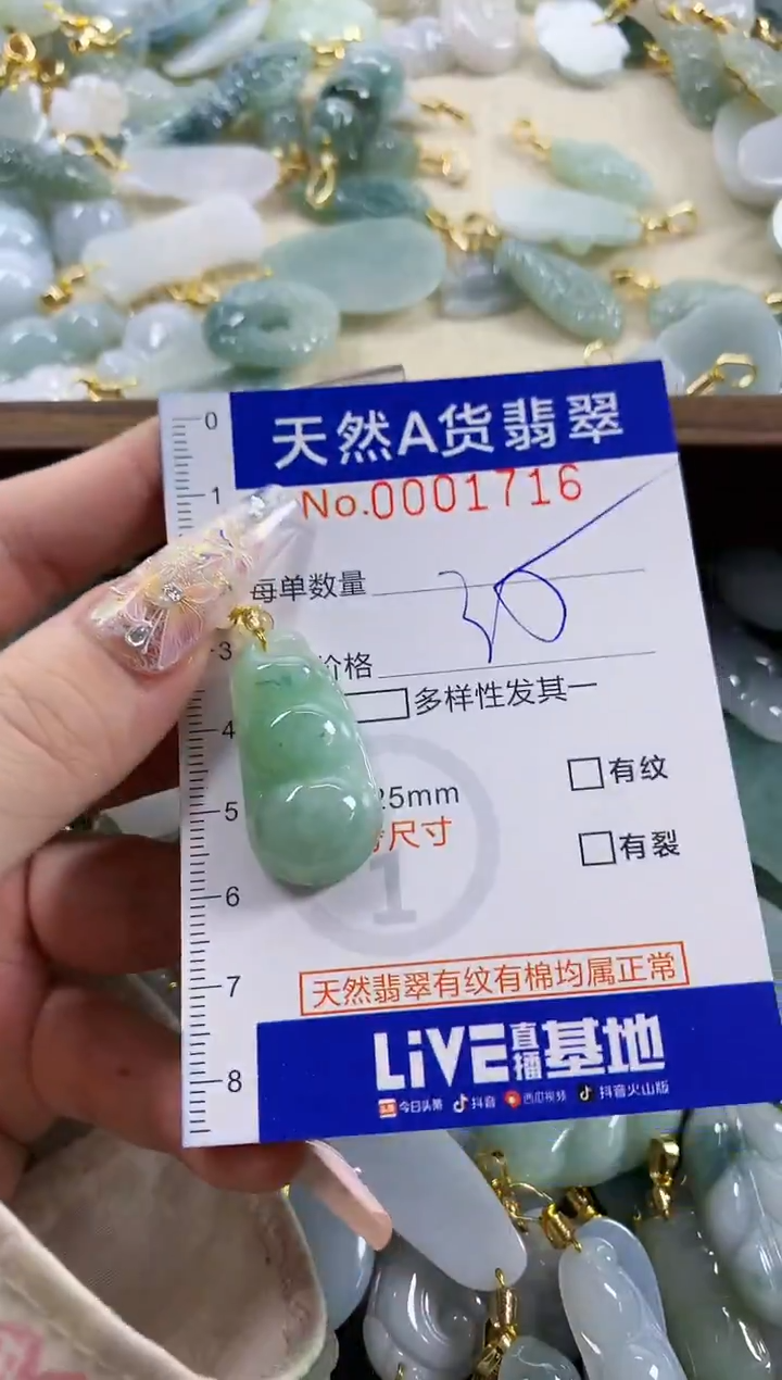 颈饰未镶嵌翡翠天然A货翡翠