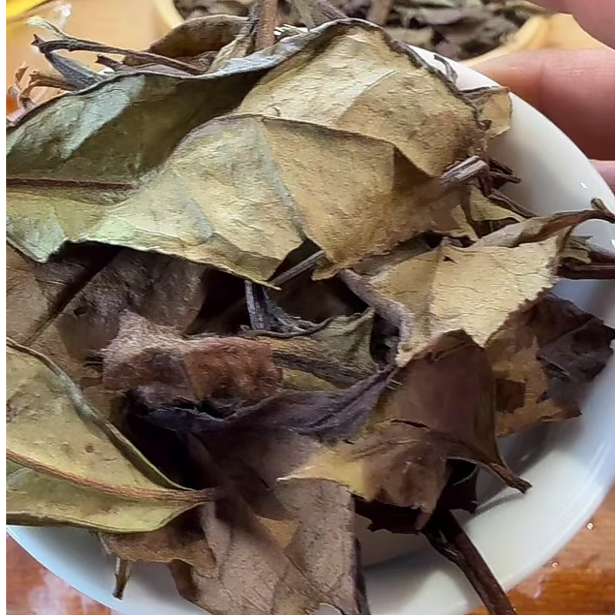 【老六严选】风情万种·2020年政和荒野白茶100g