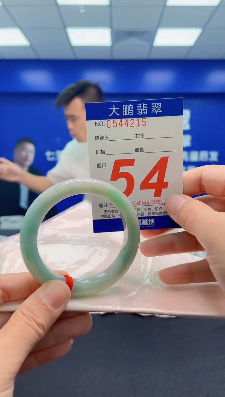未镶嵌手镯翡翠AAAAAAAAA