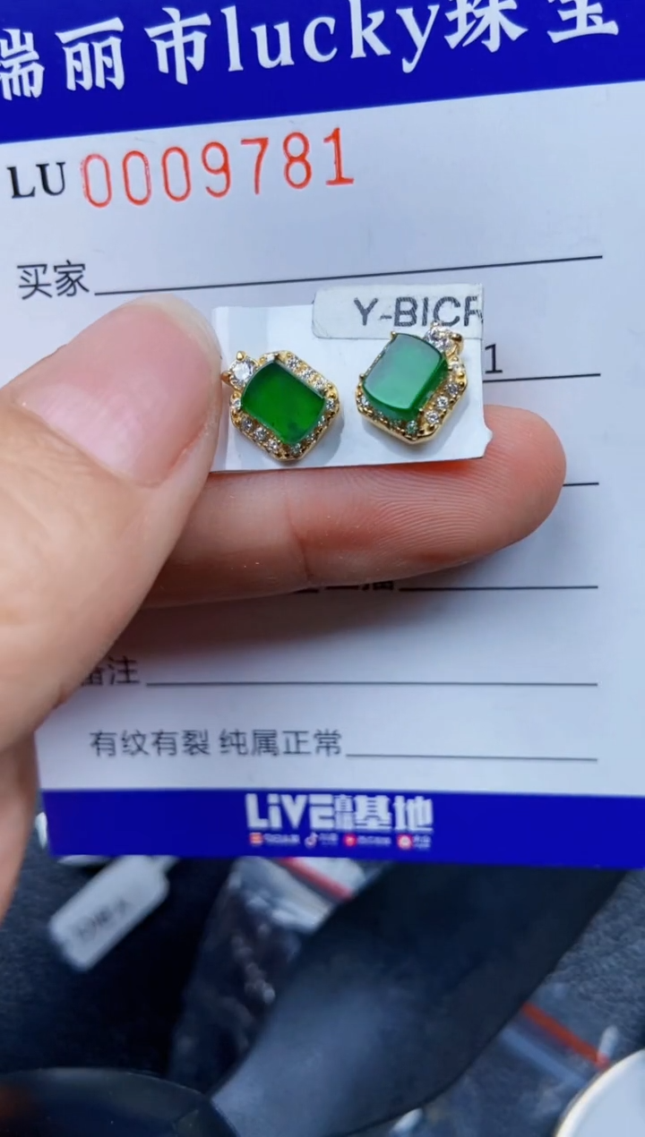 【闪购商品】翡翠颈饰银S925镶嵌9781