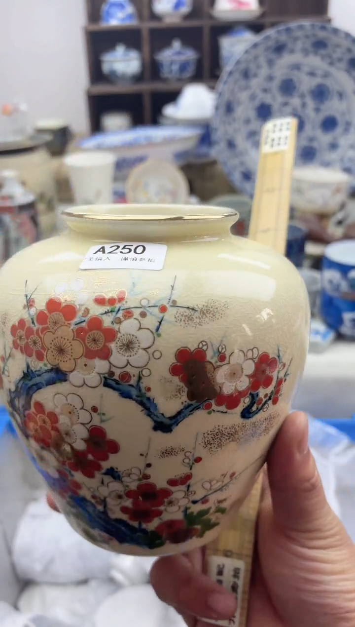 【闪购商品】碟A250...........