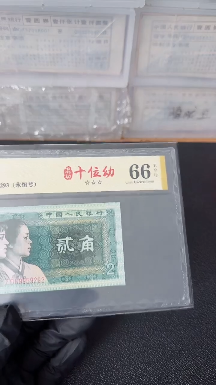 【闪购商品】8002十位幼单张ZD69959293