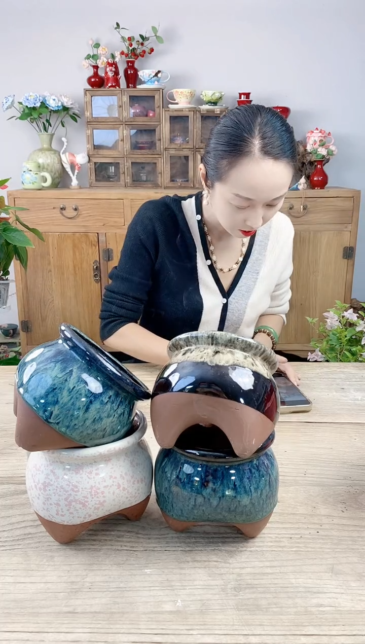 晴好园艺直播编号315