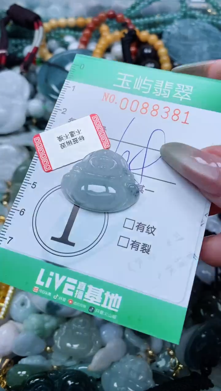 【闪购商品】翡翠颈饰未镶嵌闪购0088381