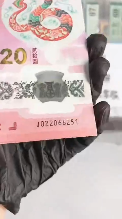 【闪购商品】塑料蛇钞单张号码022066251