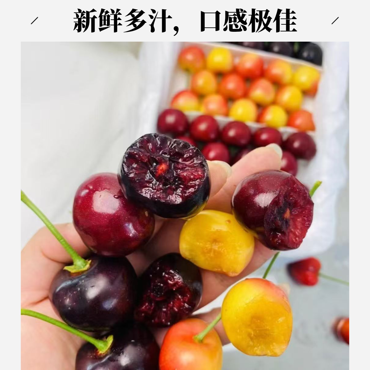 顺丰【5斤大果】大连陆地樱桃大果三种（萨米托、美早、美国红）3斤5斤J产地次日达美早樱桃/美国红樱桃/萨米脱樱桃