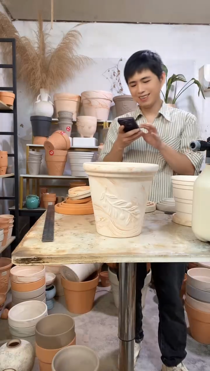 20*19玛奇朵橄榄枝 1盆无托