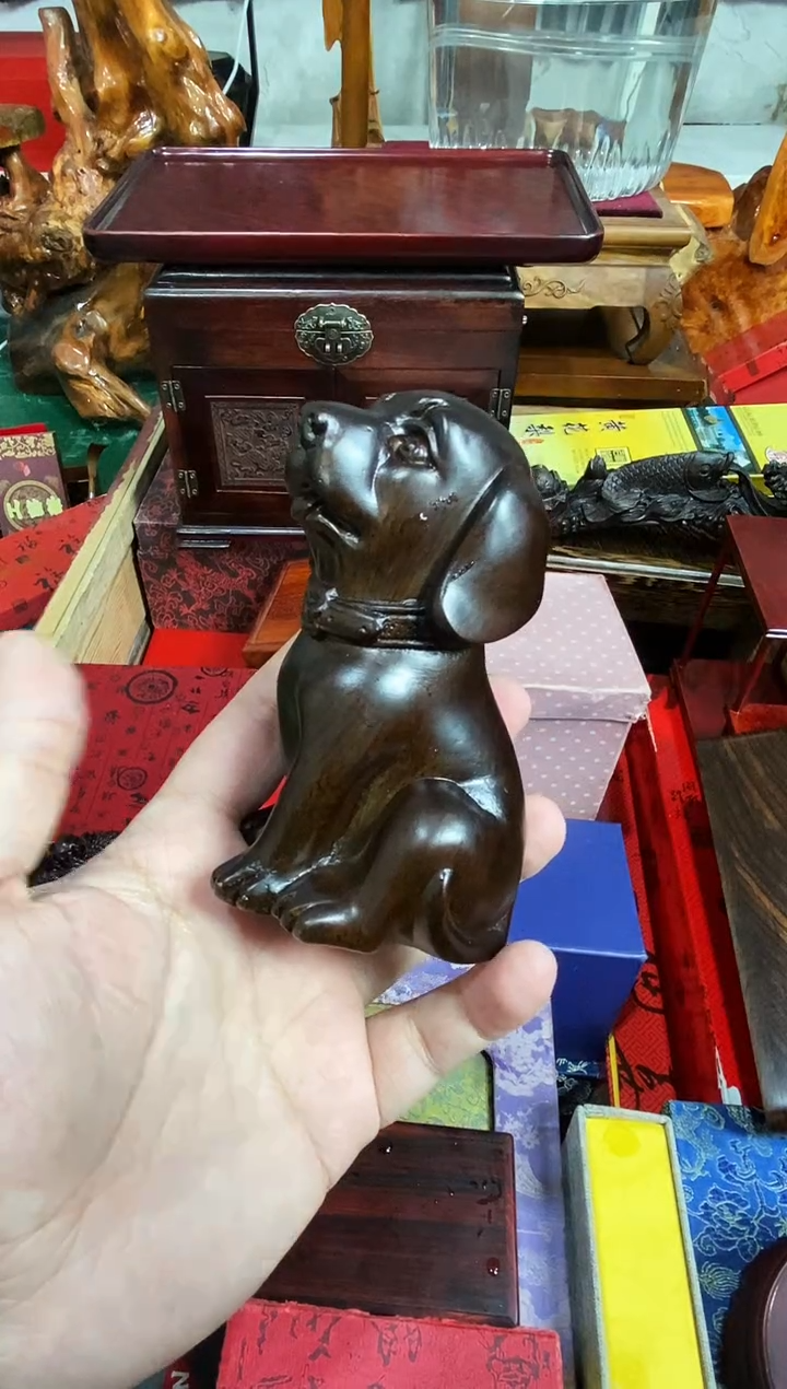 木质狗直播推荐直播推荐