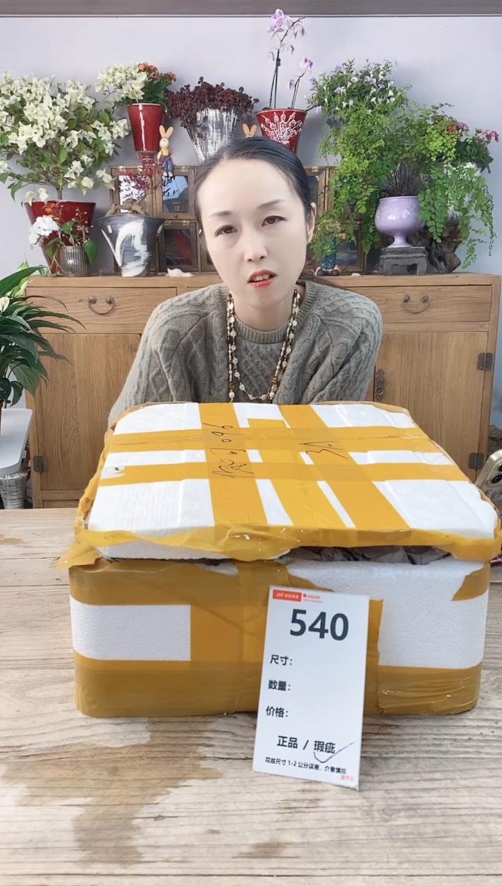 小玩子花盆直播号540