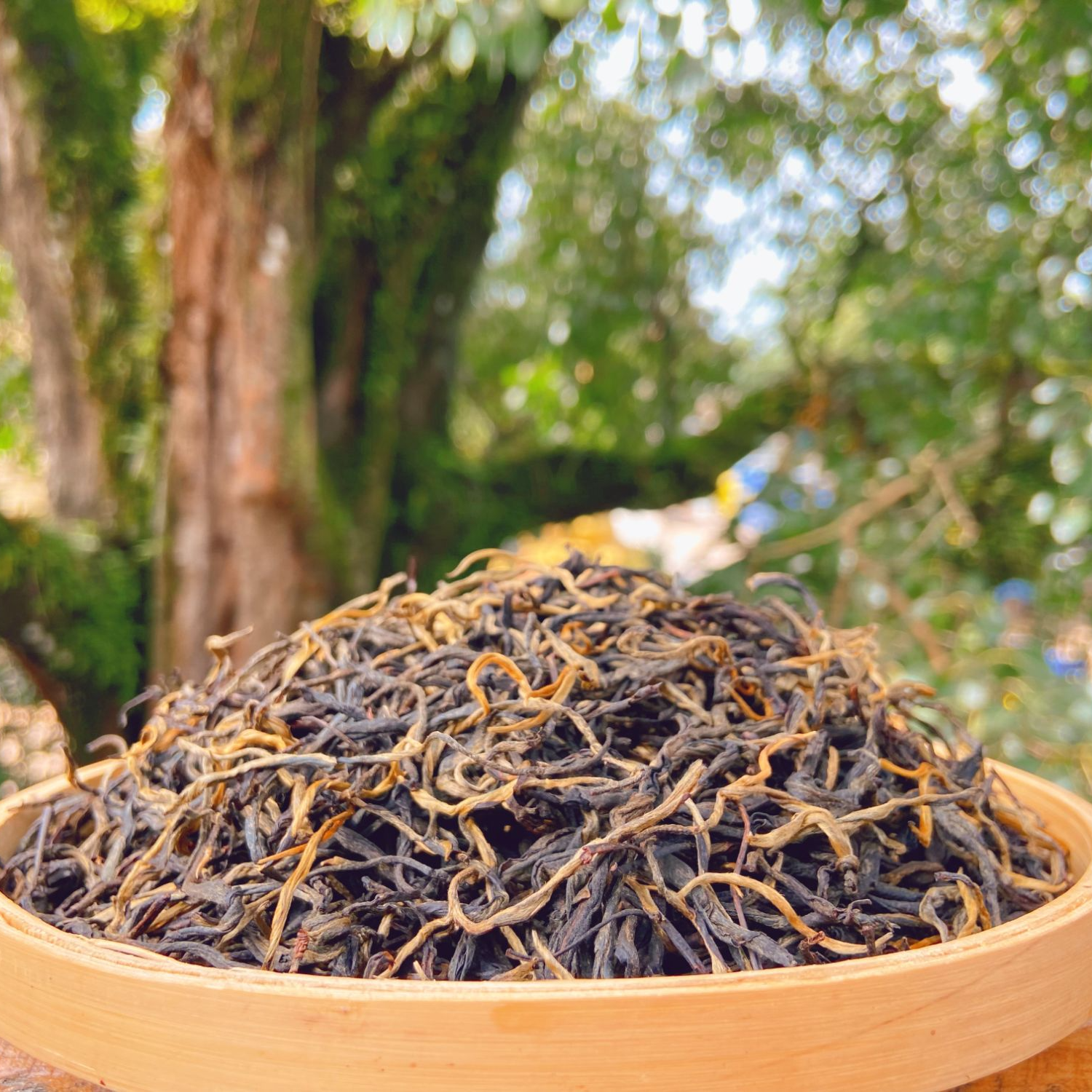 帕雅珍2025景迈古树晒红 200克 薯香蜜香浓郁